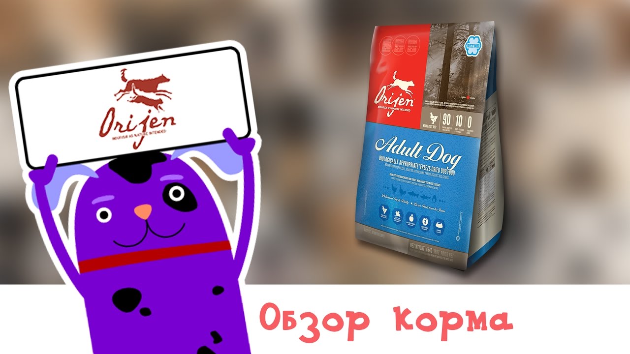 Обзор корма Orijen Adult Dog FD