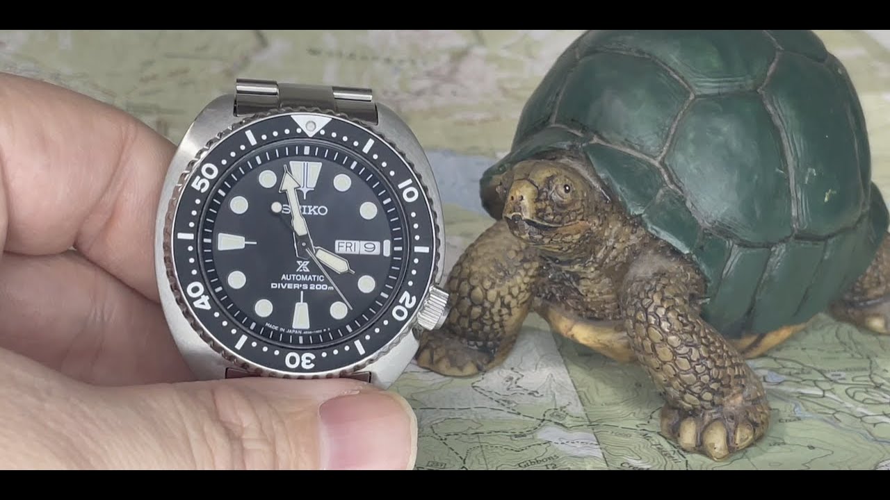 The Abyss Seiko Turtle Review James Cameron obviously approved of this watch do I?
