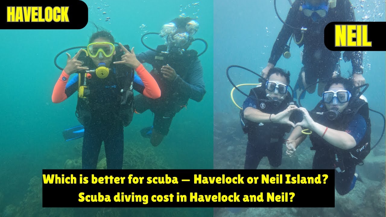 Havelock vs Neil island scuba diving | Which is better for scuba ?