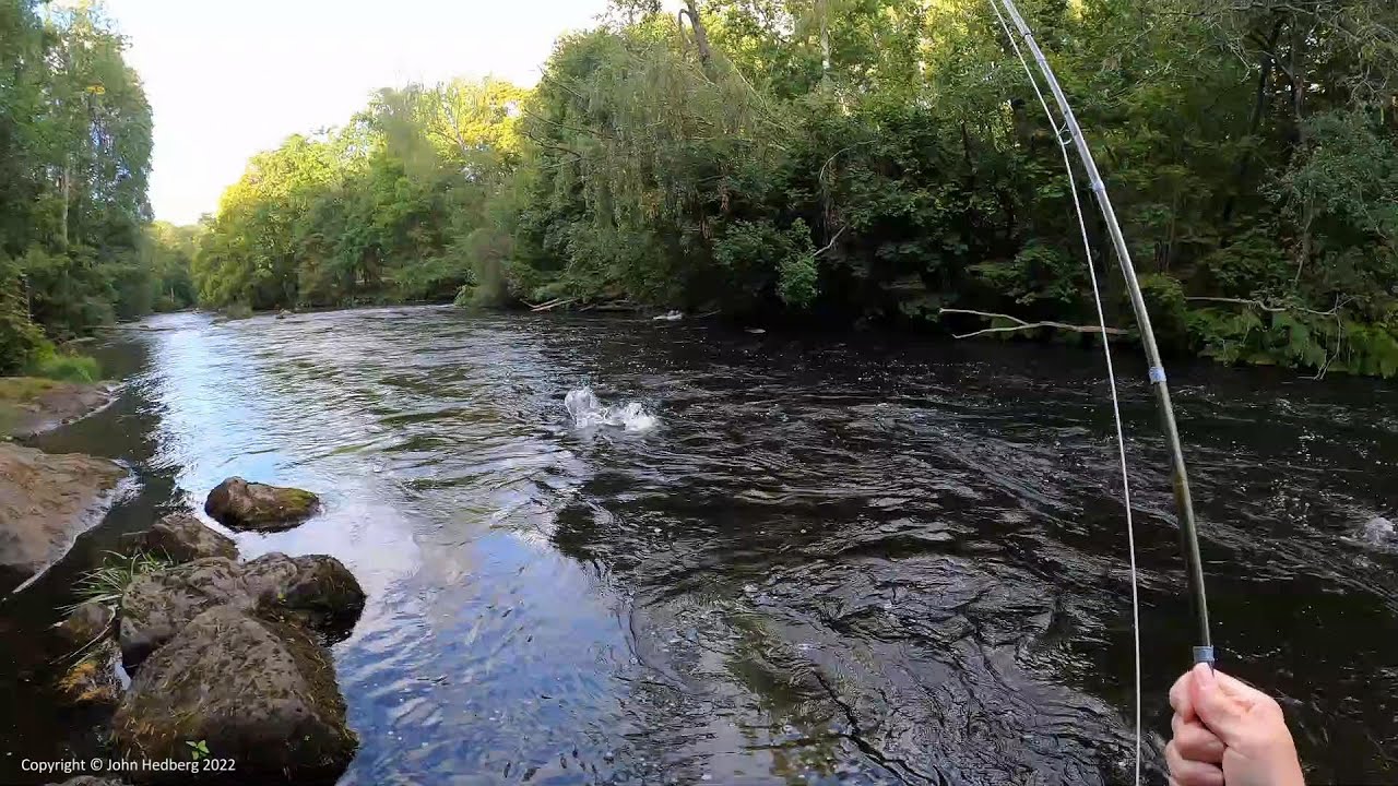 Fly fishing for big salmon. A small change - big impact!