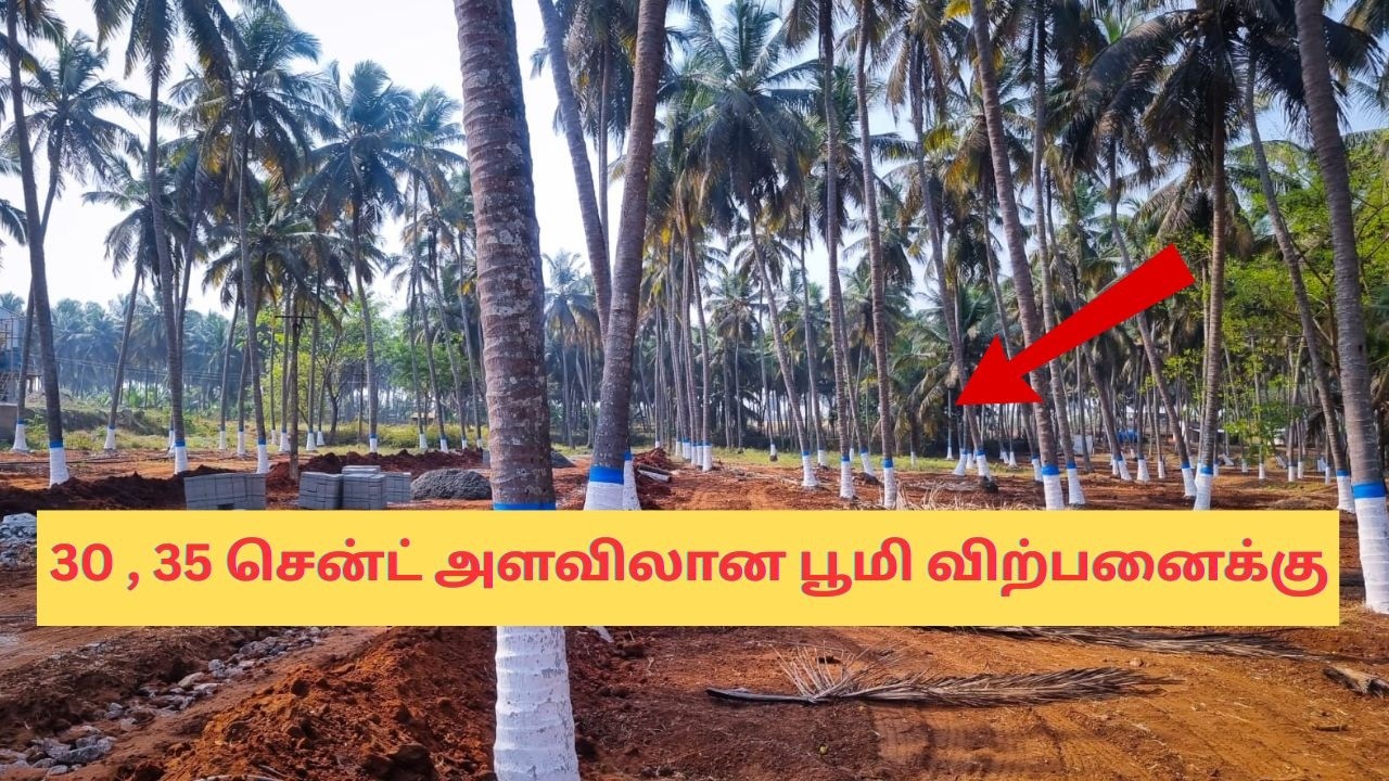 3.42 Farm site for sale in Kinathukadavu near Coimbatore | Coconut farm site for sale near Sulkkal