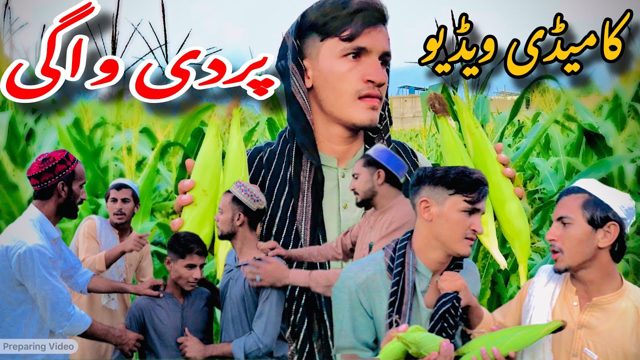 Pradi Wagi Pashto Funny Gulmaira Vines! 2025 