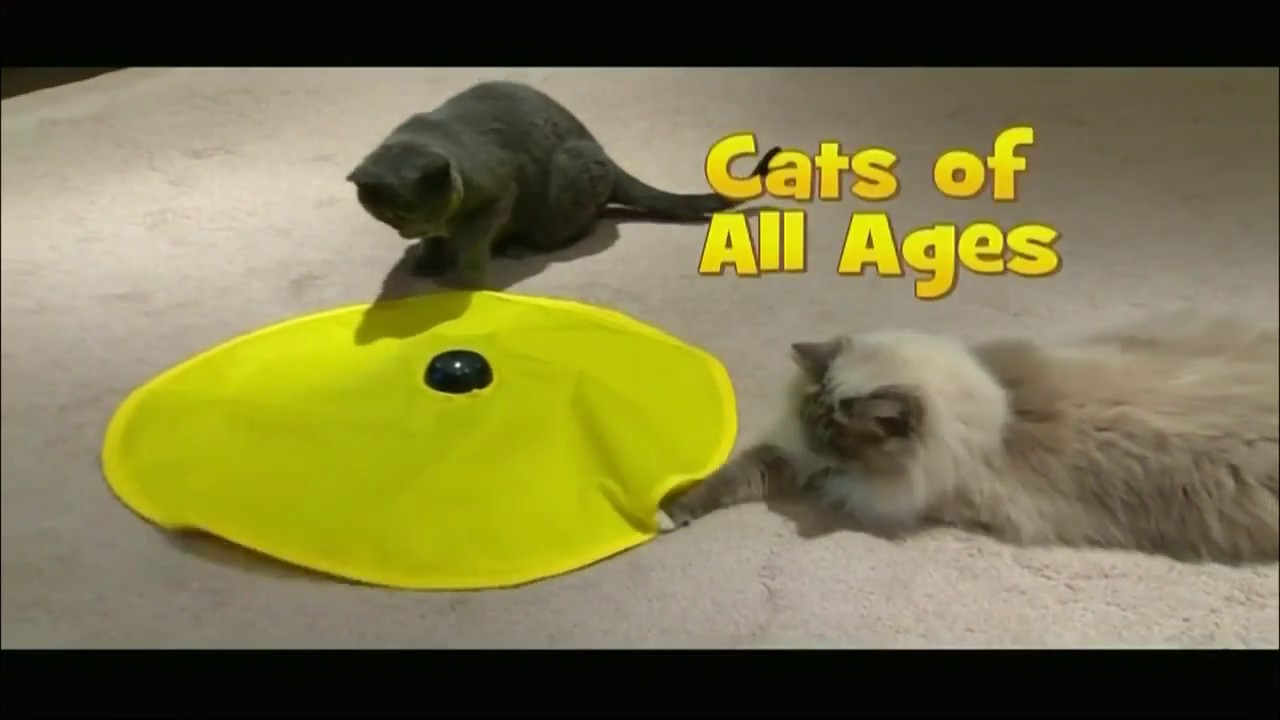 Cats Meow Cat Toy Commercial - As Seen on TV