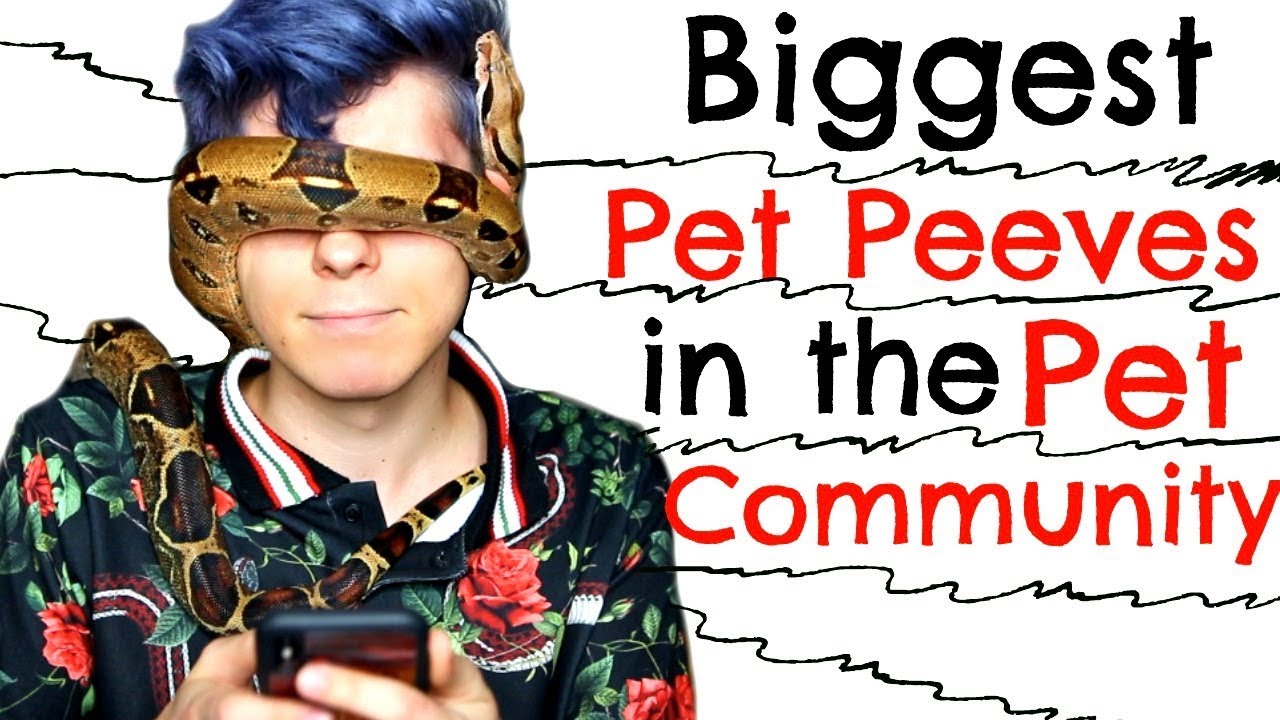 My Biggest Pet Peeves in the Pet Community!!!