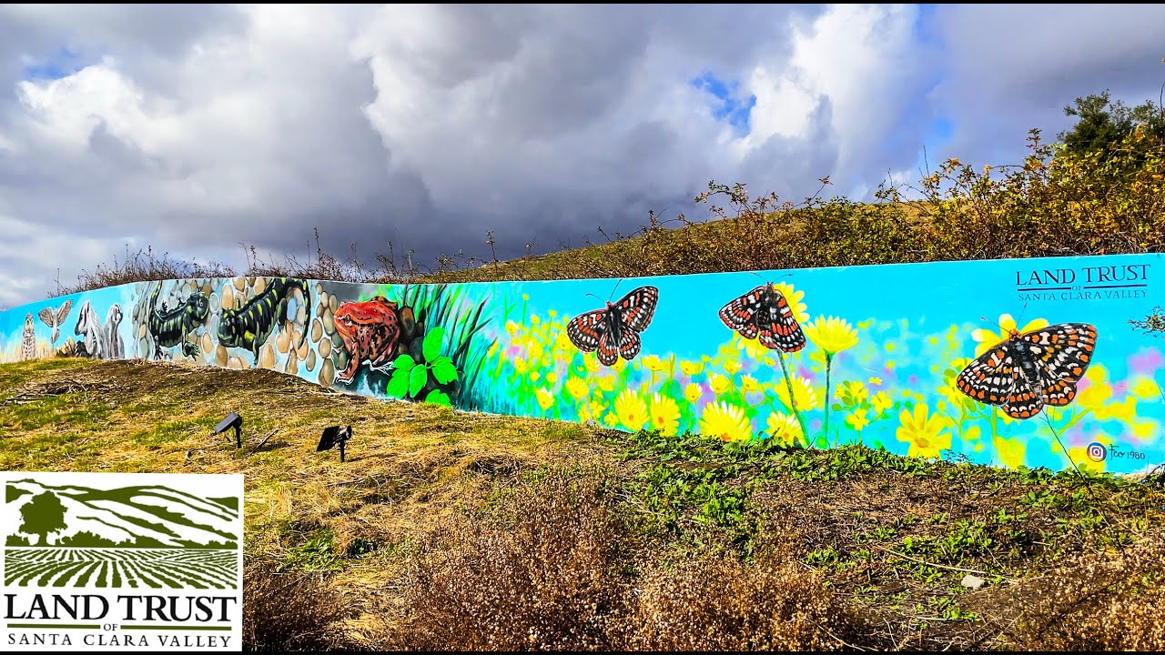 Basking Ridge Frog Wall Mural - Land Trust of Santa Clara Valley (LTSCV)