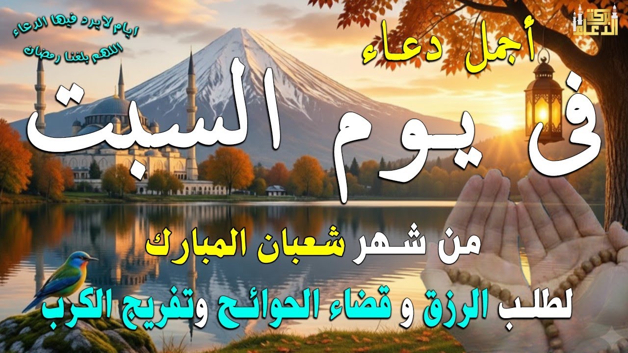 دعاء فى صباح يوم الأربعاء 16 من شهر شعبان لطلب الرزق والفرج وقضاء الحوائج وتفريج الهم بإذن الله 💚