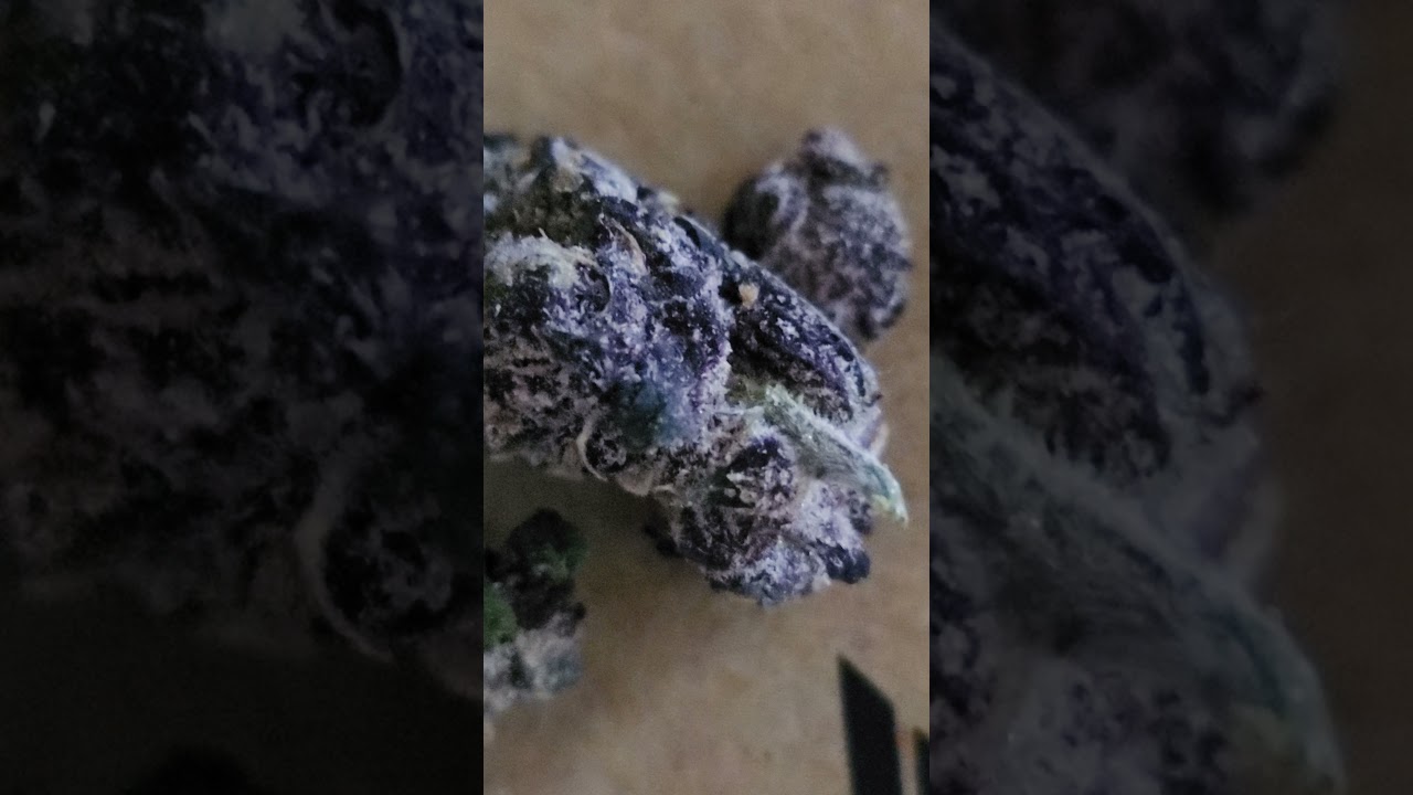Runtz - Medical Marijuana