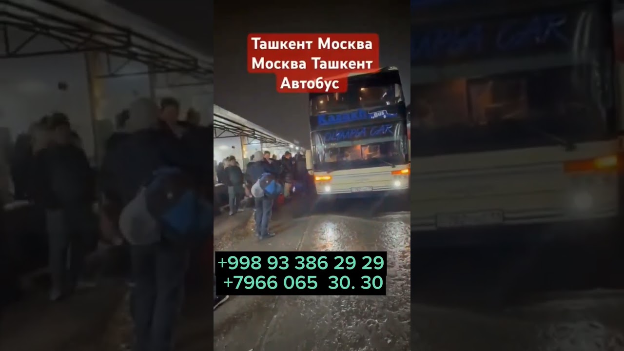 тошкент Москва Узбекистан Автобус 