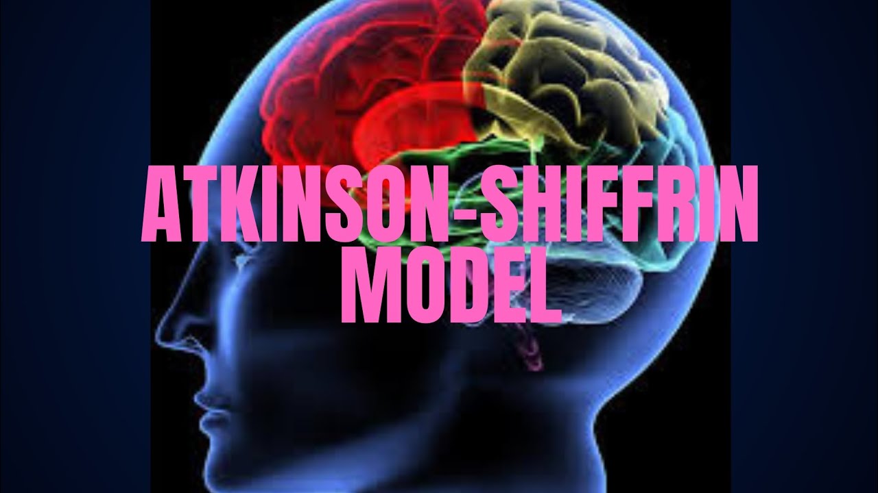 Atkinson - Shiffrin Model - English