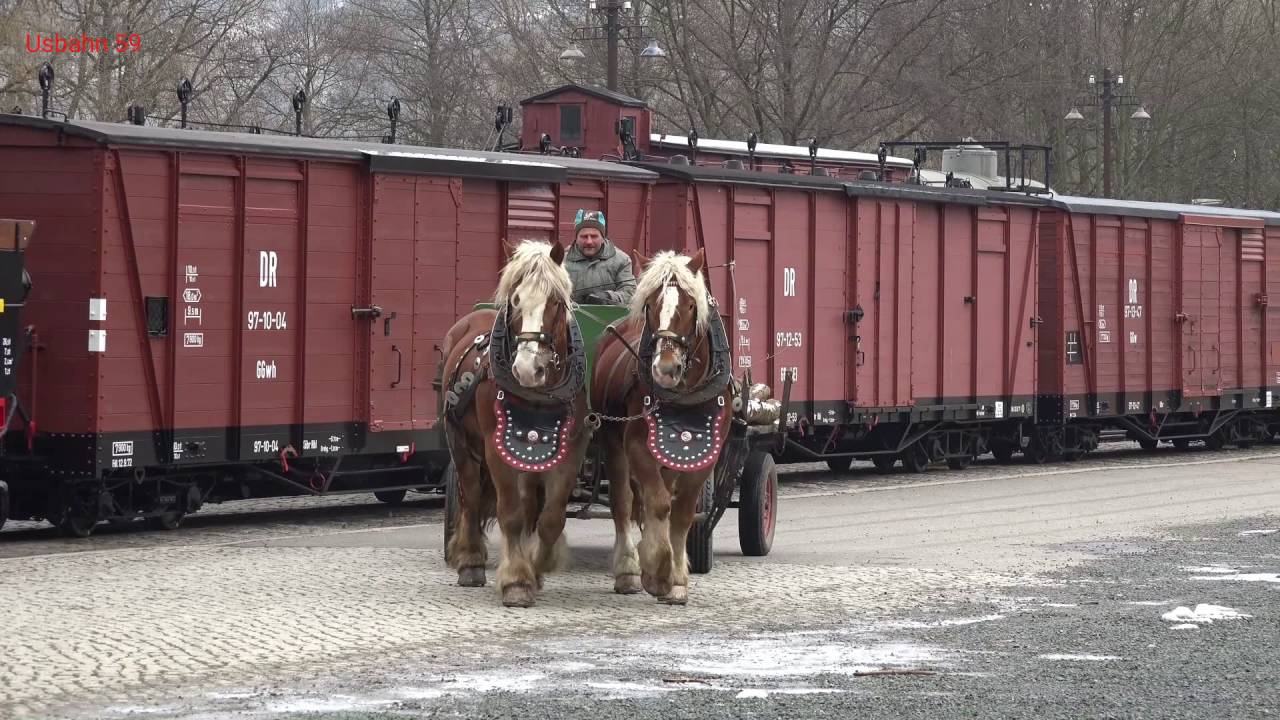 Fotozüge auf Preßnitztalbahn 2016 - 3