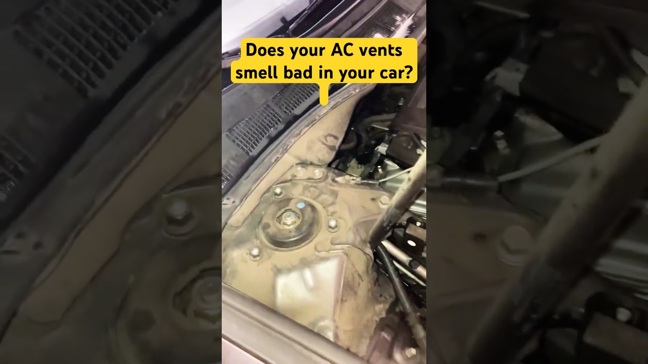 Changed the cabin air filter and your car AC vents still smell?  Watch this&hellip;