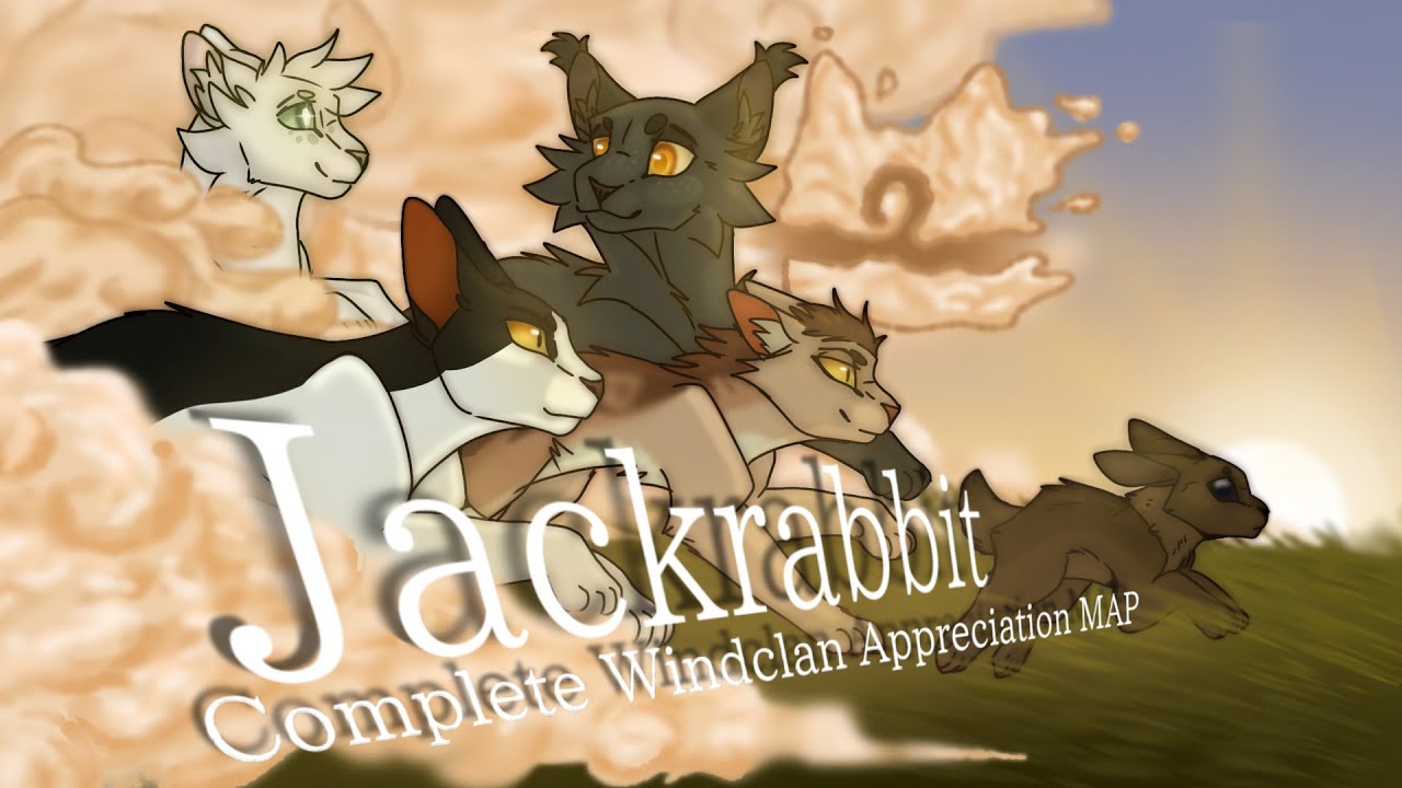 Jackrabbit || Complete Windclan Appreciation MAProject
