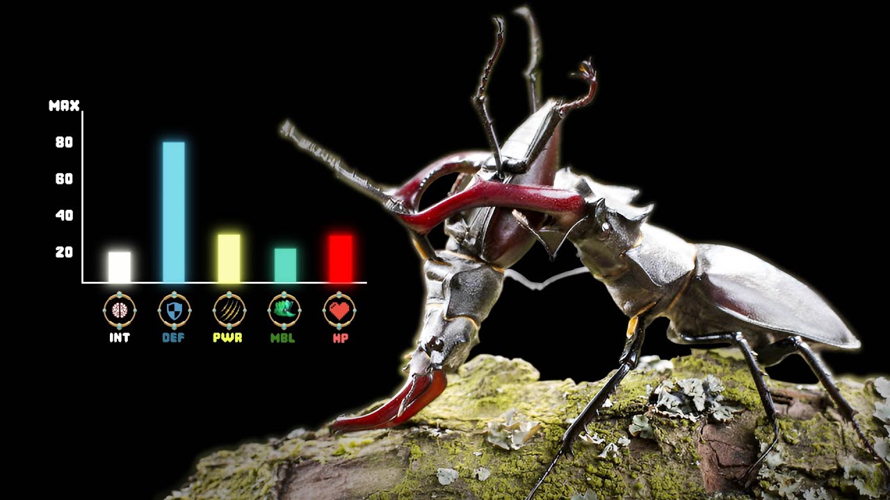 The BEETLE Tier List
