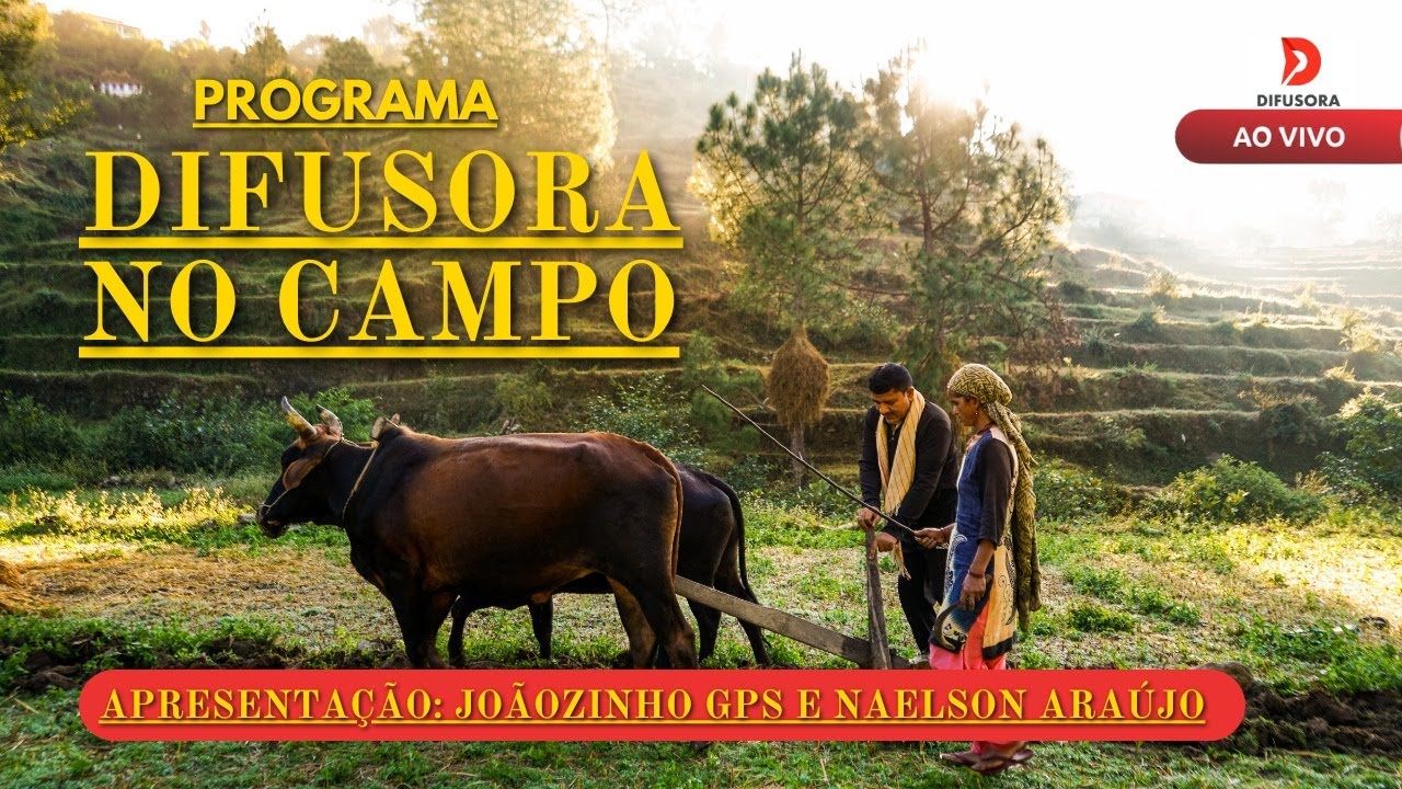 🔴[ AO VIVO ] DIFUSORA NO CAMPO - 08/02/2026