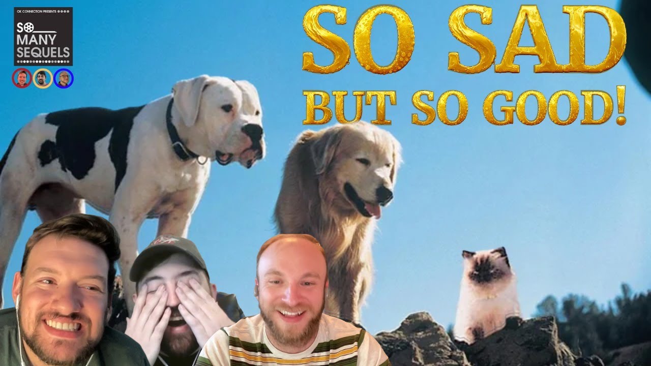 Homeward Bound Review: The Most Emotional Family Movie Ever?