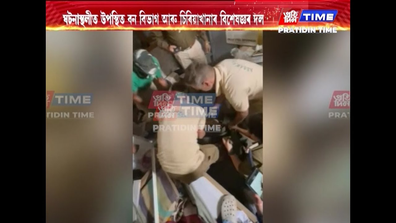 পাণ্ডুৰ একাউণ্টছ কলনীৰ সুভাষ দাসৰ ঘৰত নাহৰফুটুকীৰ প্ৰৱেশ