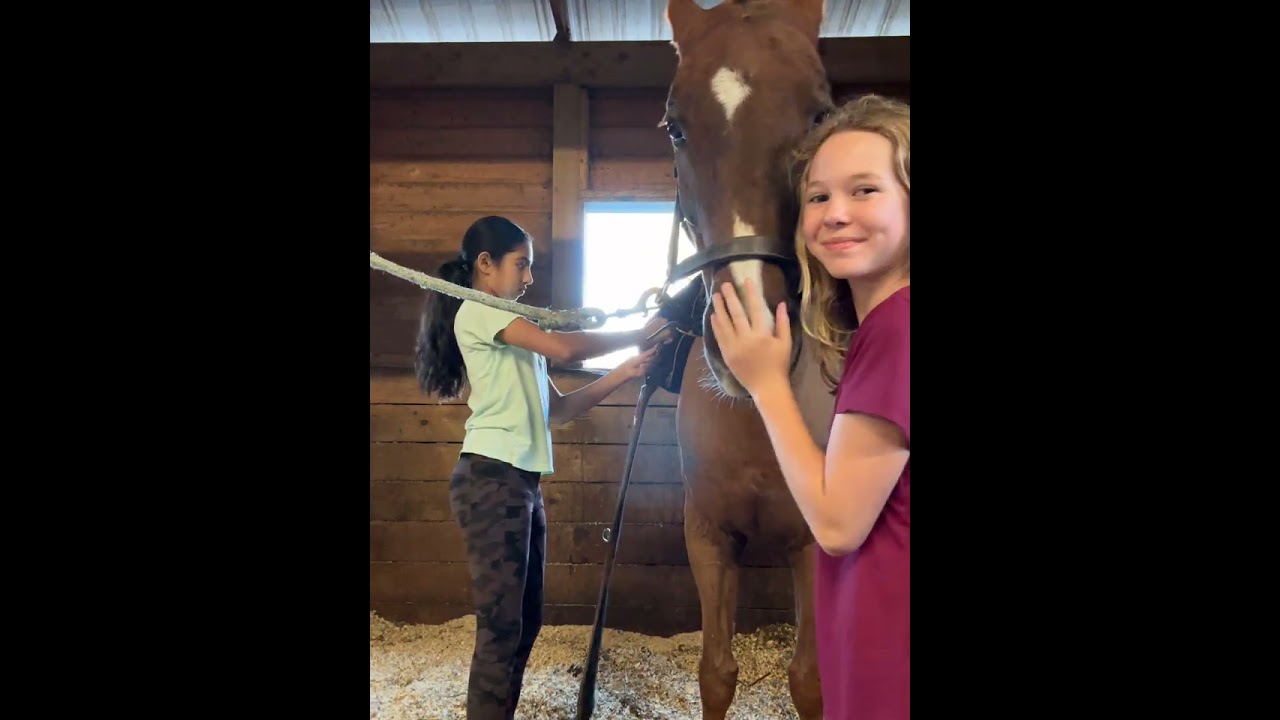 Come tack up Dean with me ￼