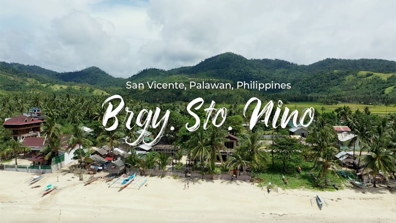 Paradise Found: Beachfront Property for Sale in San Vicente, Palawan | PVT2021-0015