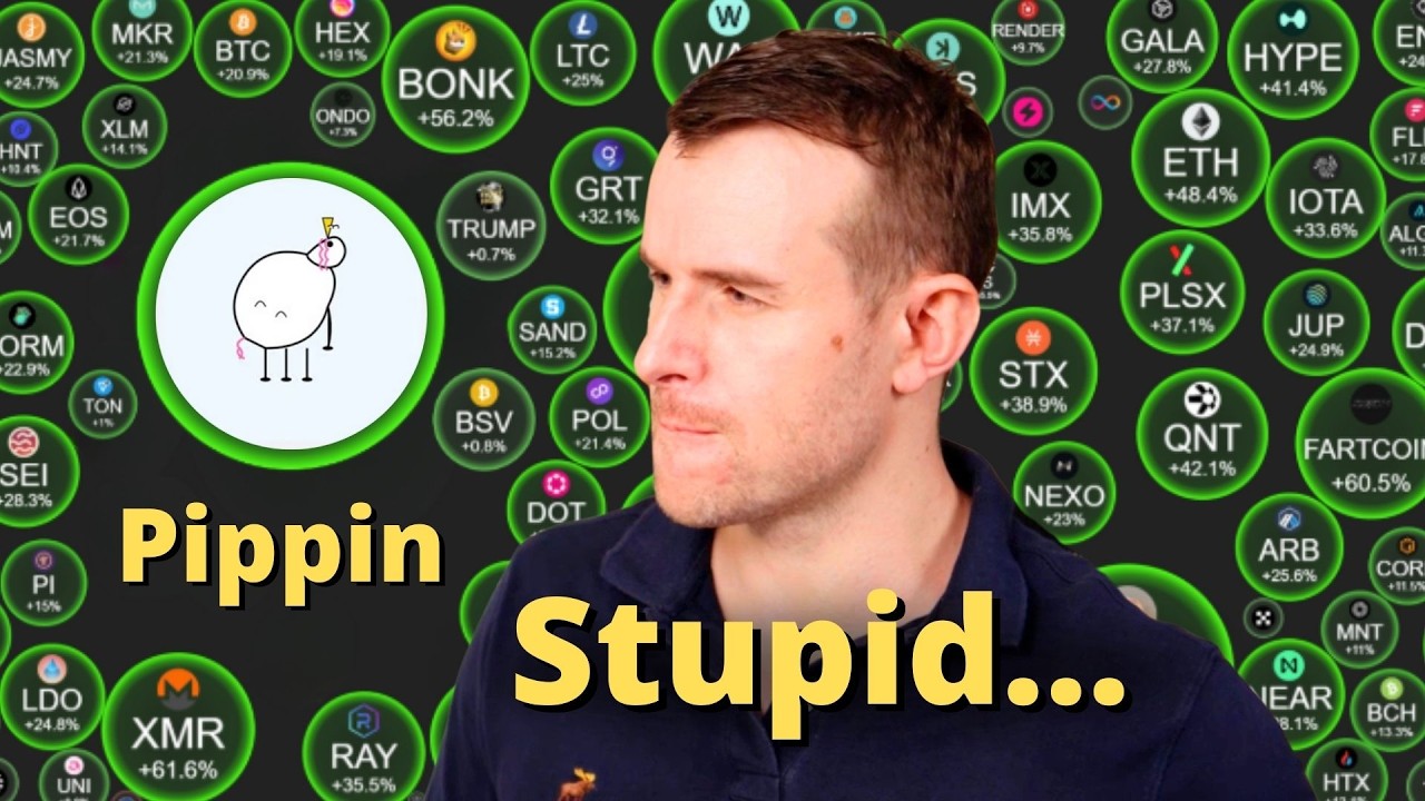 Don't Buy Pippin Before Watching This ⚠️ Crypto Token Analysis