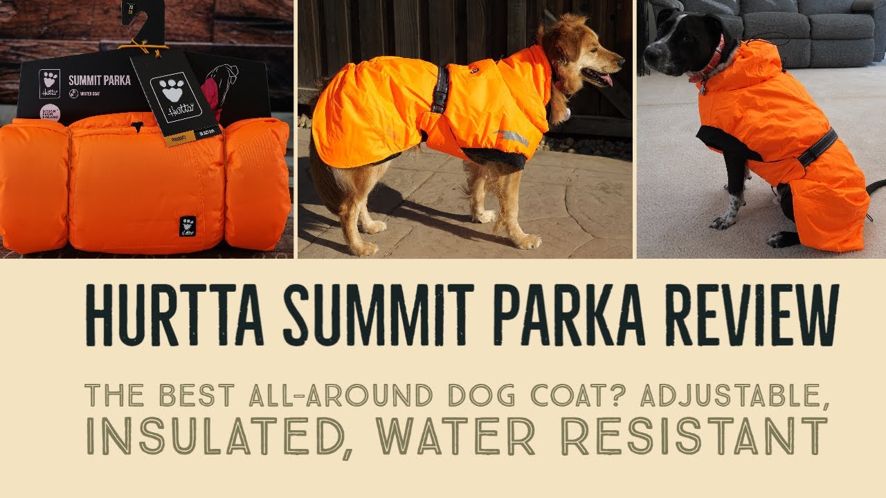 The Best All Around Dog Coat? Hurtta Summit Parka Review