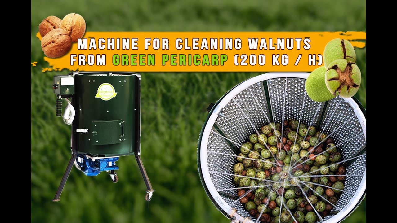 Green walnut peeling and cleaning machine (200 kg/h)