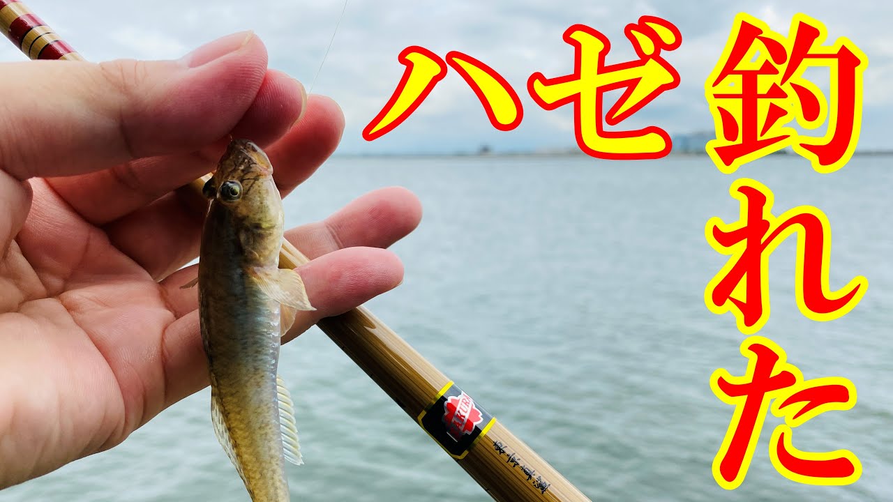 【ハゼ釣り】初めての場所でも手軽に楽しめるのが最高！