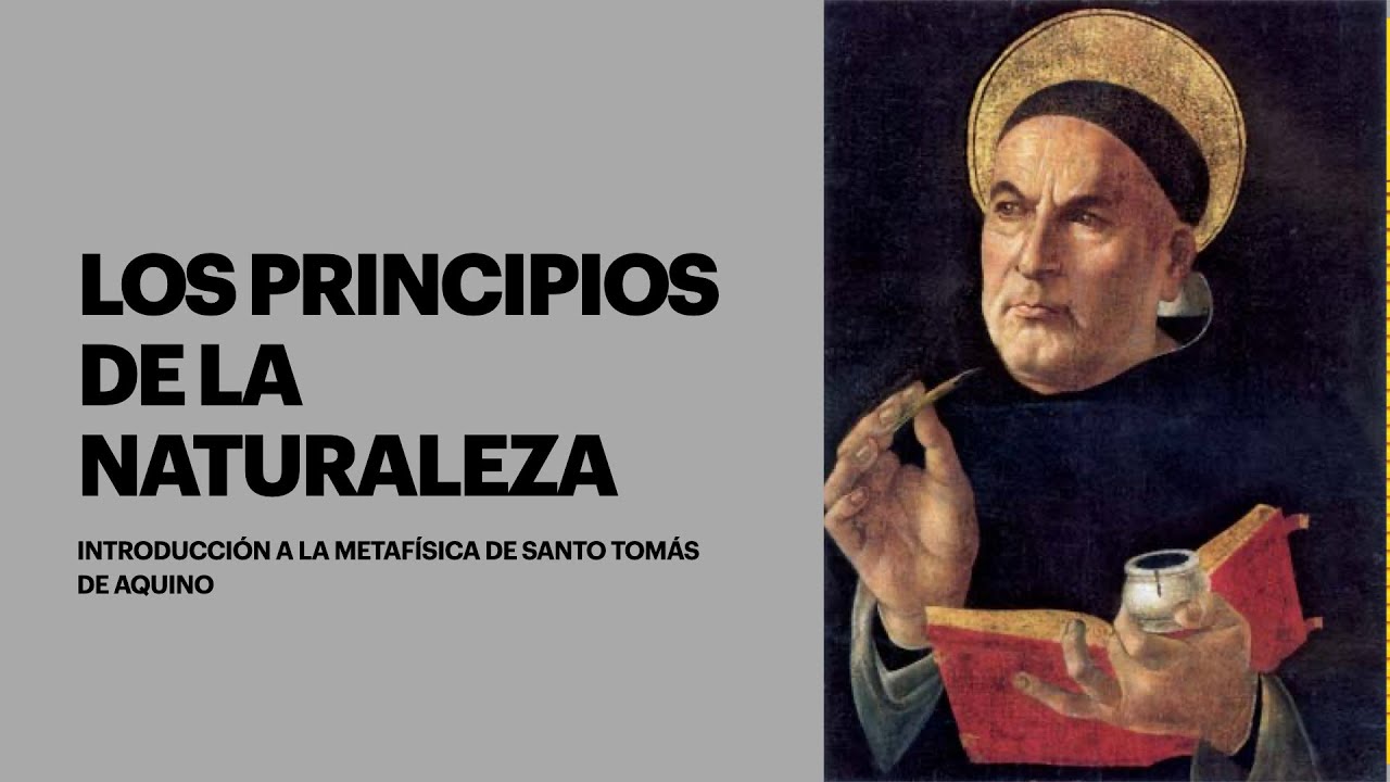 Introducción a la metafísica de Santo Tomás de Aquino