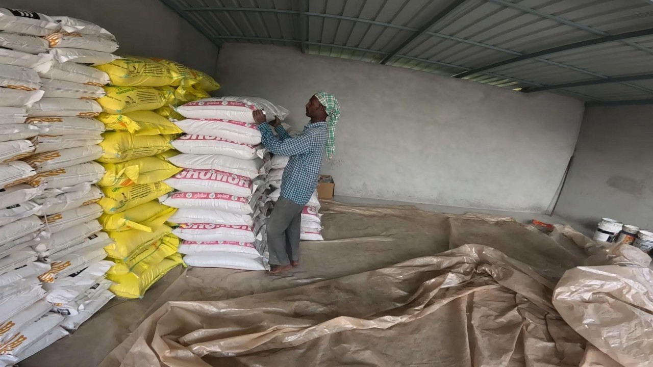 FERTILIZER APPLICATION FOR COFFEE PLANTATION USING| SSP , UREA & MOP| FIRST ROUND OF MANURE