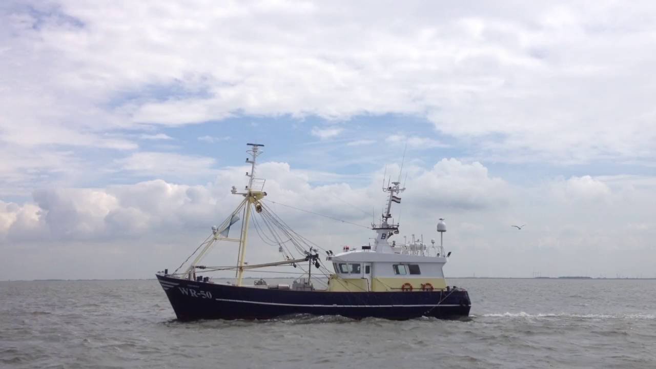 Werkweek OSG De Hogeberg