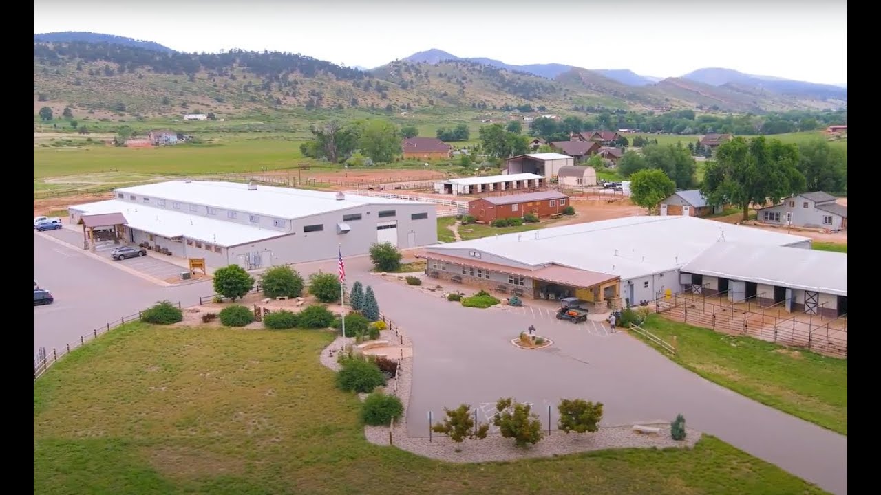 Hearts & Horses Virtual Tour