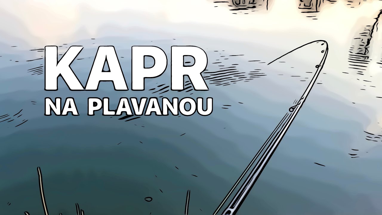 KAPR NA PLAVANOU Průběžný splávek na stojaté vodě a moje nové Shimano ForceMaster + Trabucco Velvet