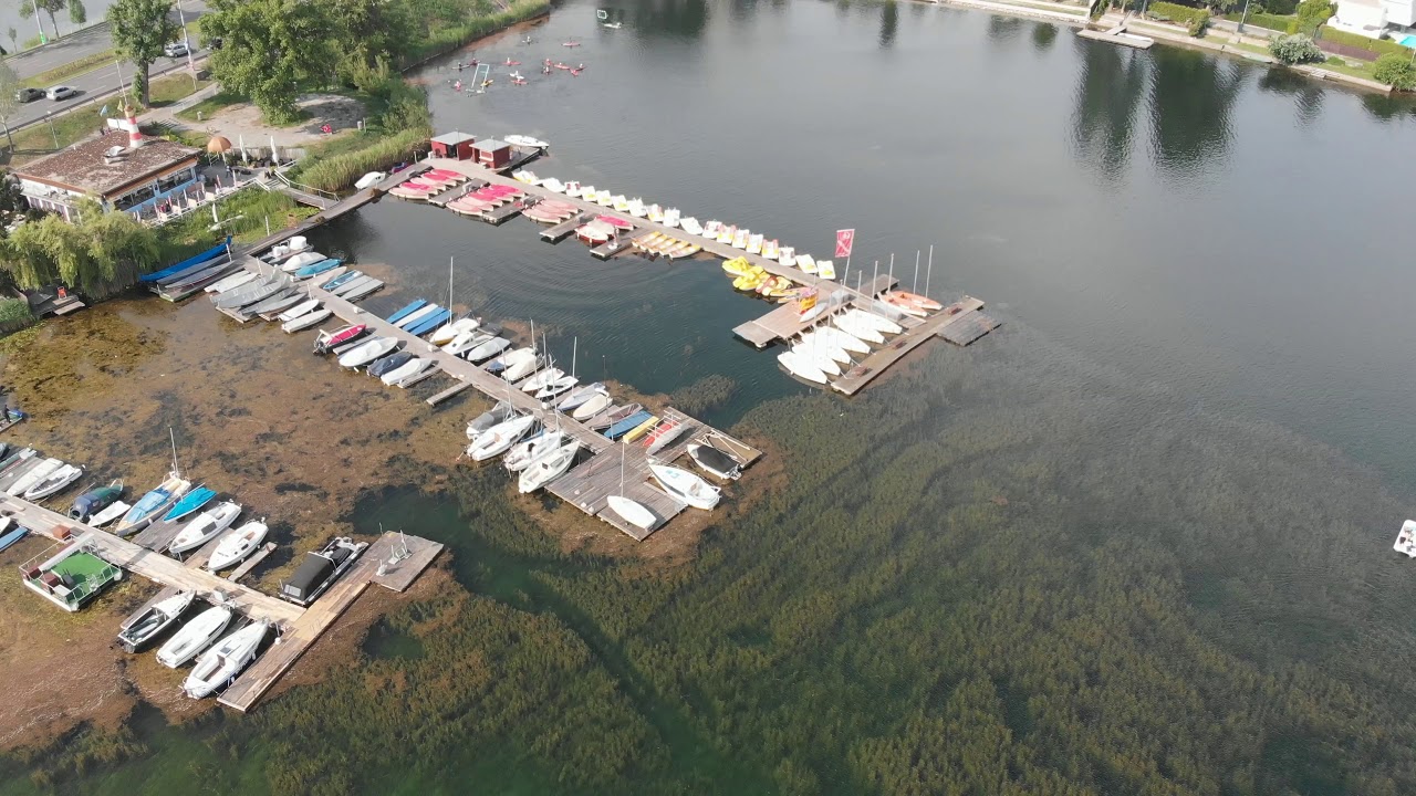 Hilfe, die Alte Donau wächst zu!
