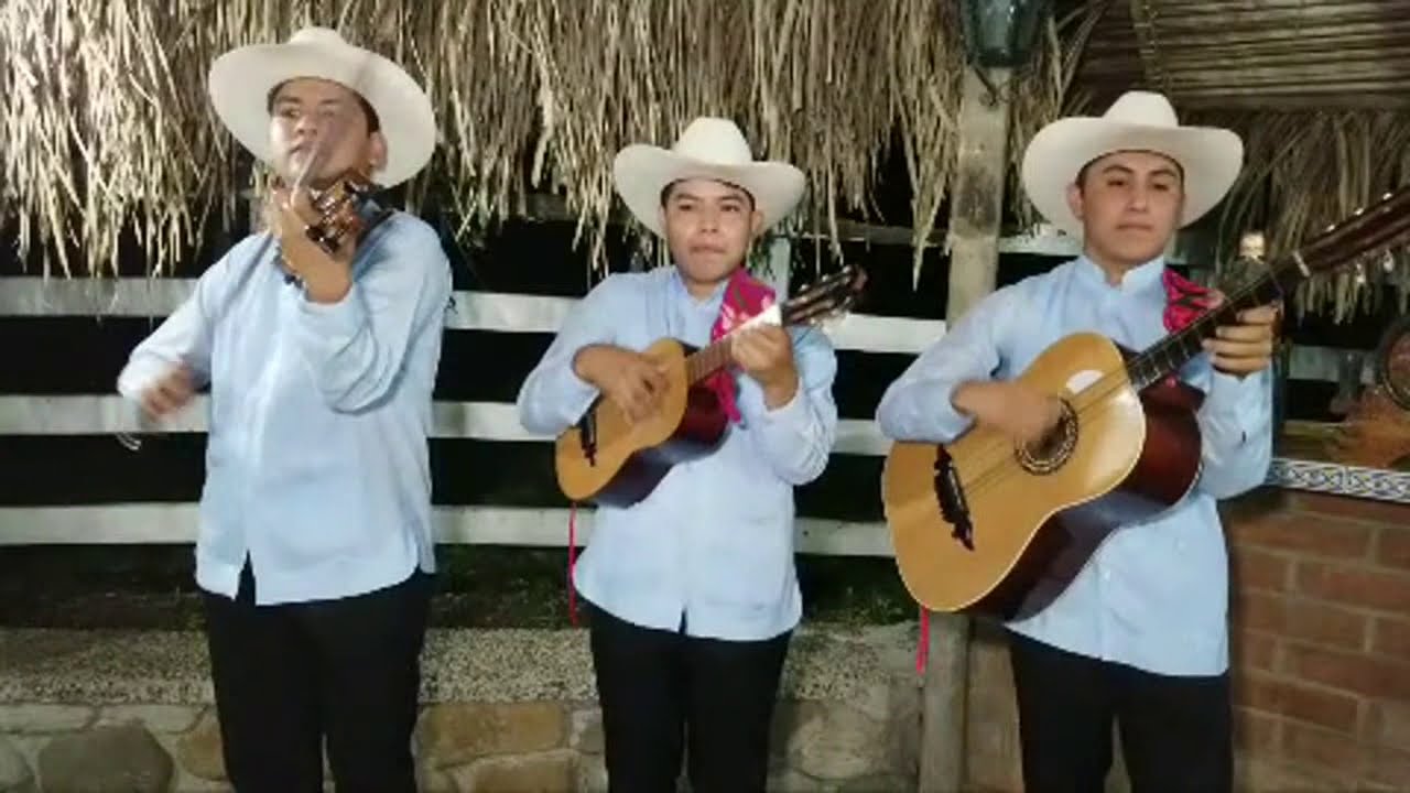 Temple Huasteco En Vivo Contrataciones 7821461497