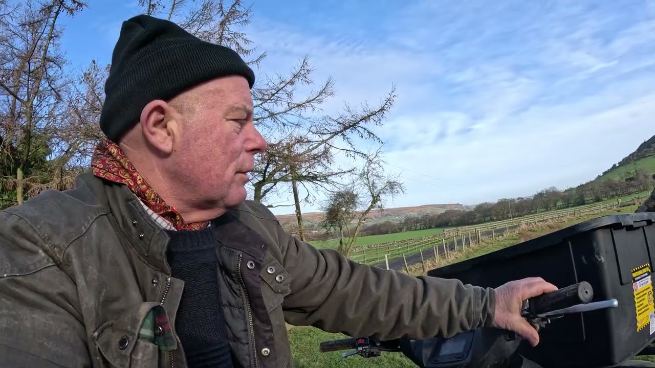 Ещё один день, полный любви к жизни.