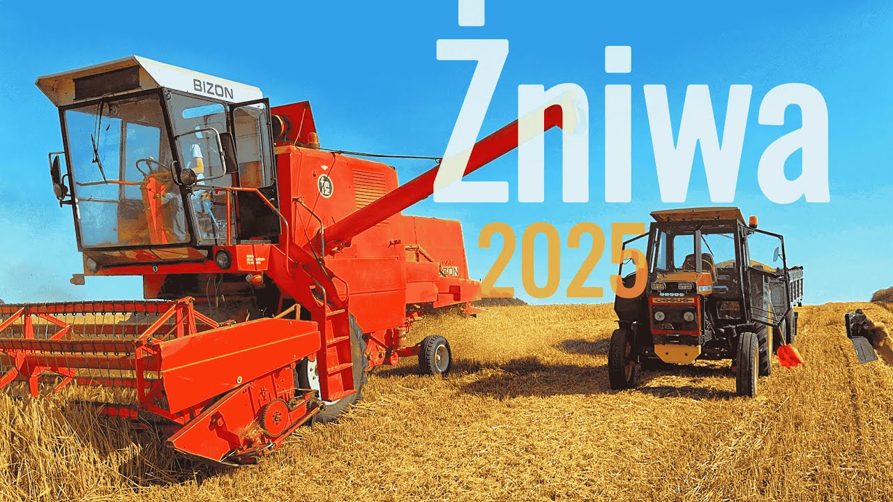 BIZON W AKCJI🔥ŻNIWA 2025🔥URSUS - C385🔥