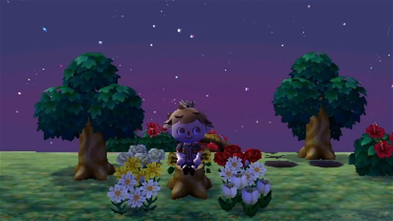 Animal Crossing New Leaf: My Final Club Tortimer Experience