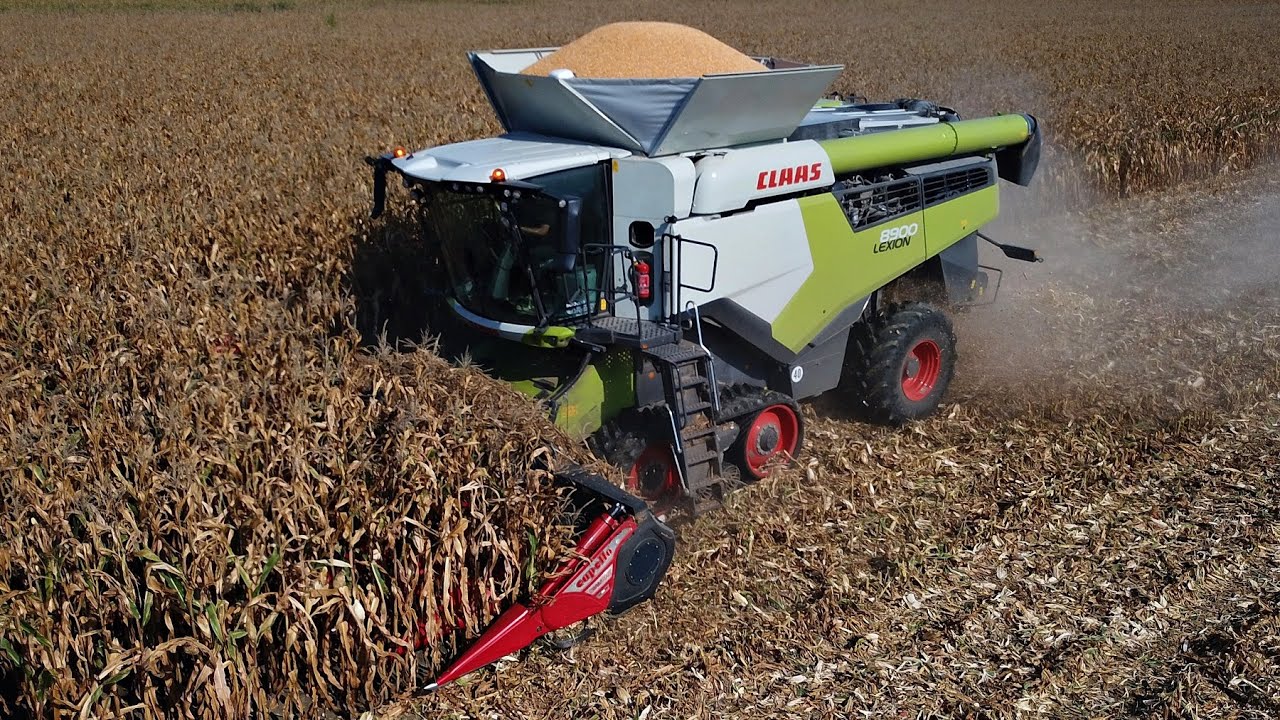 Claas Lexion 8900 | Capello Diamant 10 file | Trebbiatura mais 2025 | Carlassara