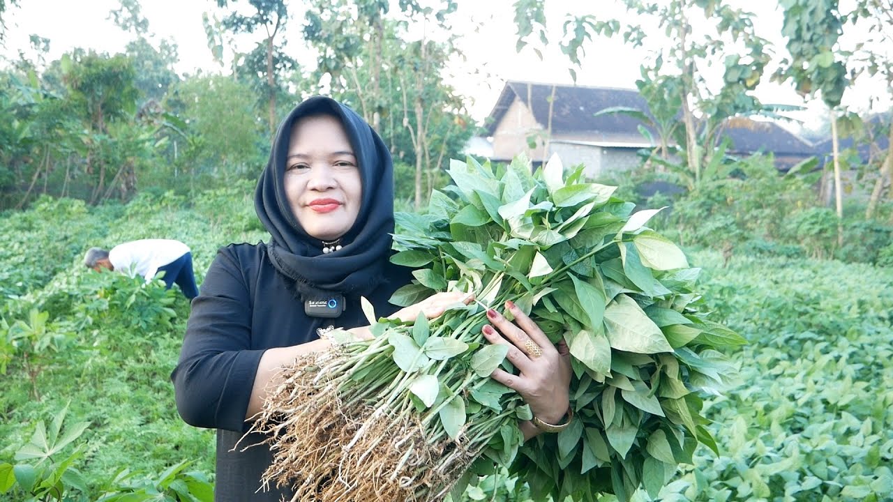 MASAK SAYUR BOBOR KAMPUNG, FRESH SAYURANYA DARI KEBUN