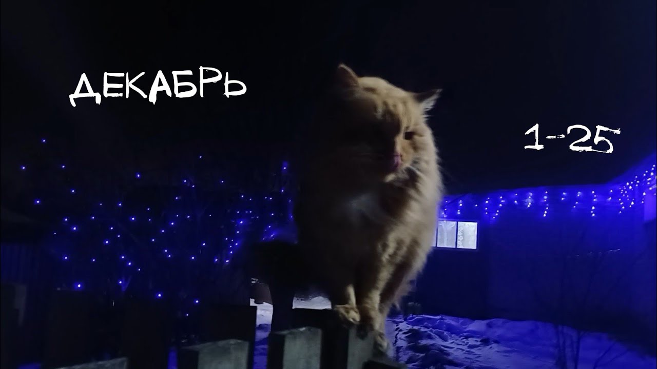 ДЕКАБРЬ с 1 по 25-ое