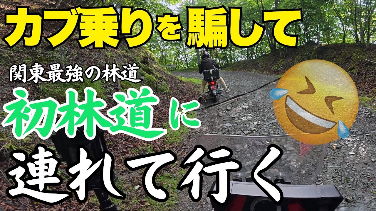 【林道デビュー】カブ乗りを騙して御荷鉾スーパー林道へ連行してみた