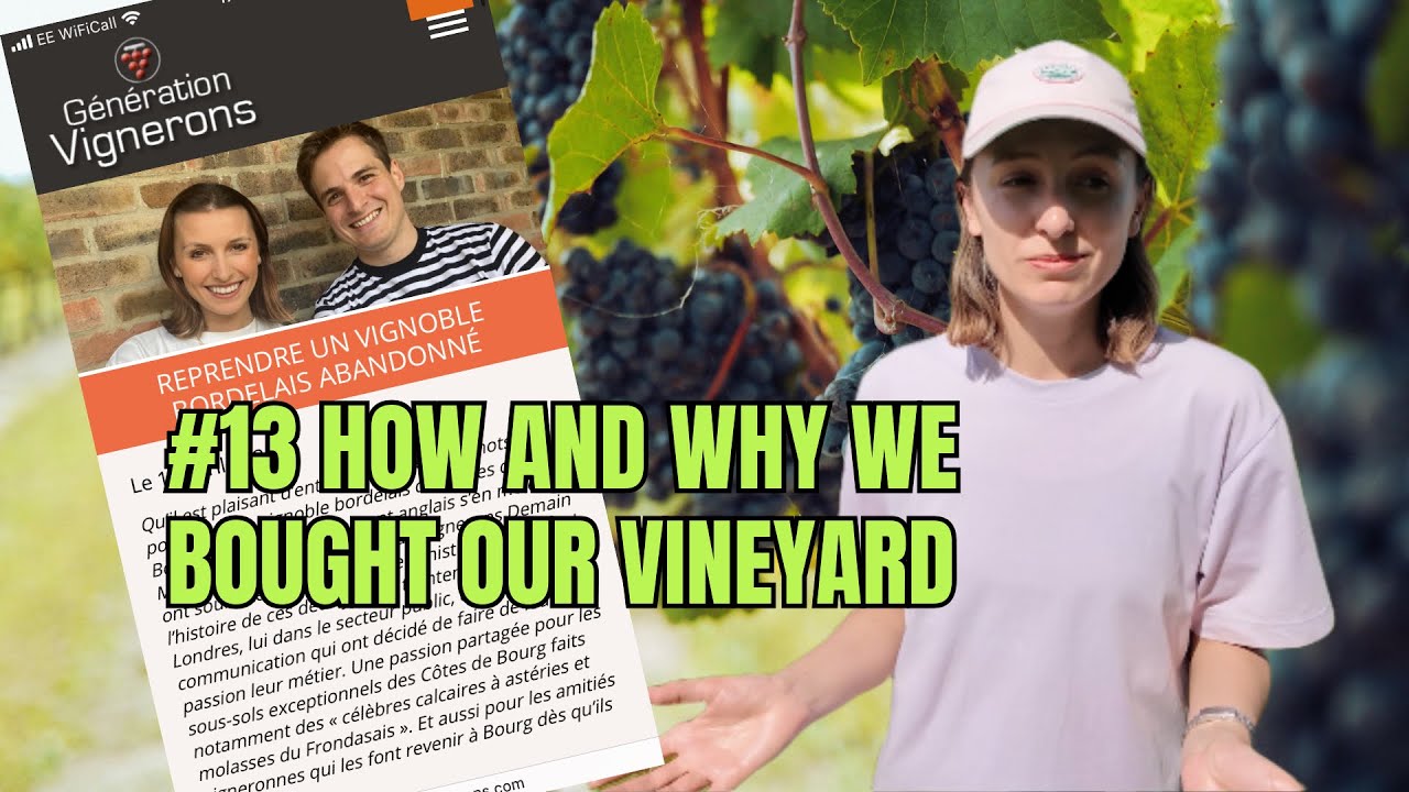 HOW AND WHY WE BOUGHT OUR VINEYARD