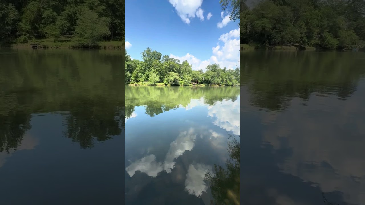 The hidden gem | Dunwoody GA