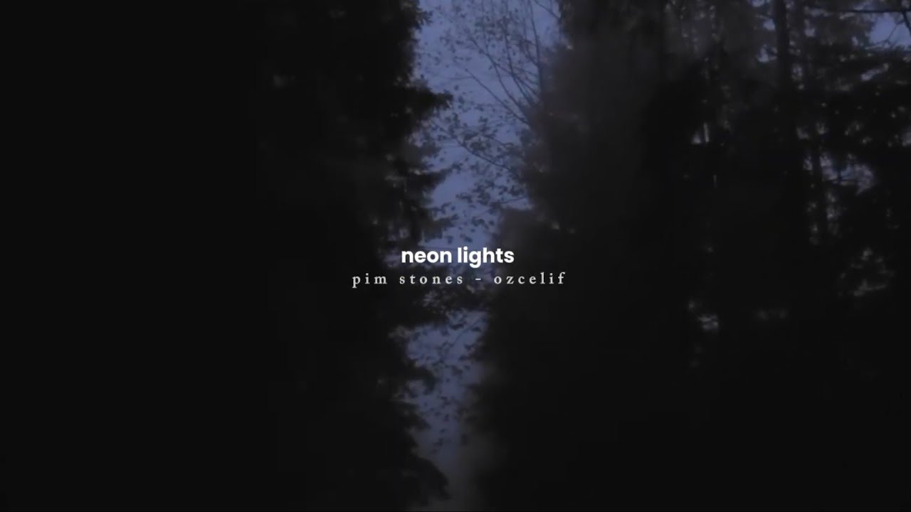pim stones ⋆ playlist (all songs) @PimStones
