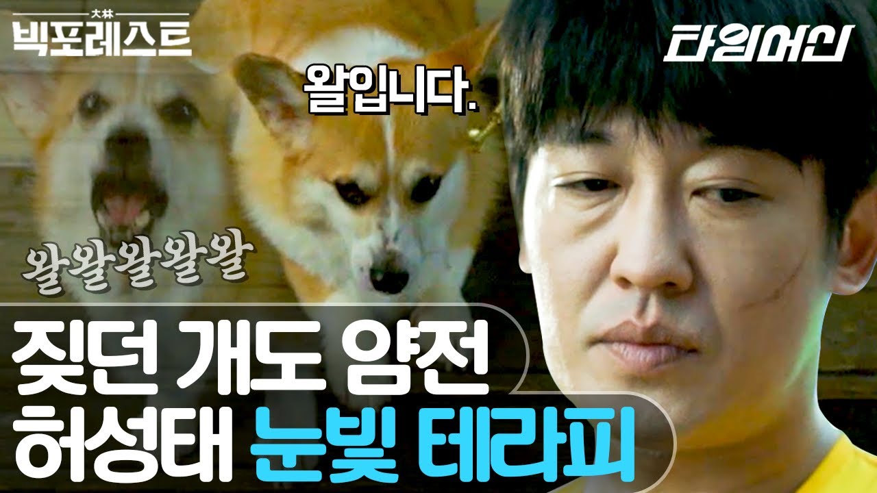 [#빅포레스트] 우리 동네 방범대가 누군지 아니? 중독성 강한 허성태 눈빛 모음