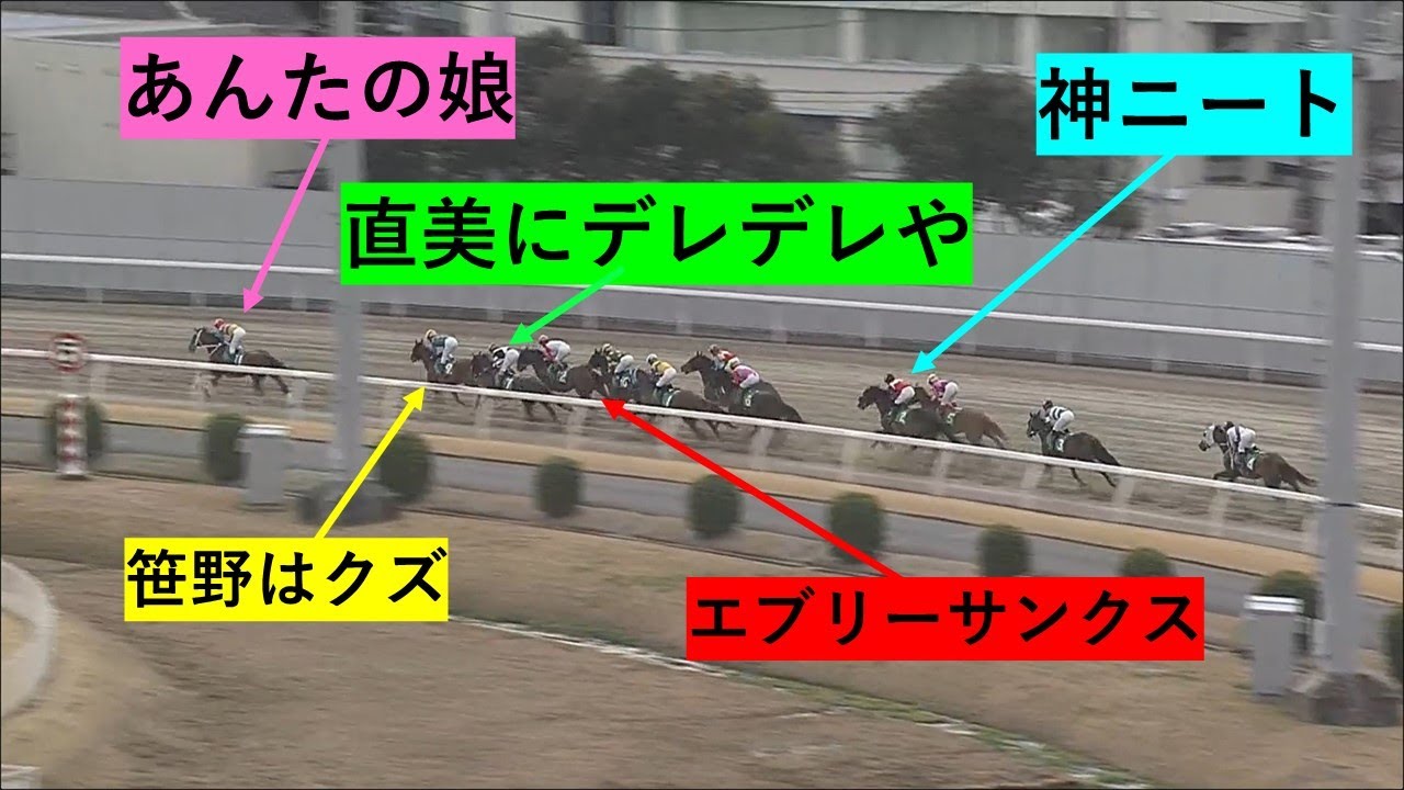 【大集合】珍馬名が集ったレースが面白い　あんたの娘、直美にデレデレや！笹野はクズ！！！