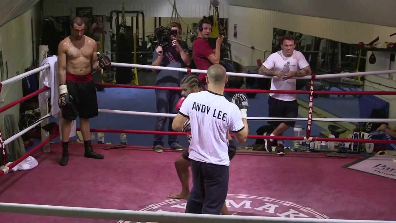 David Haye smashes Wilder