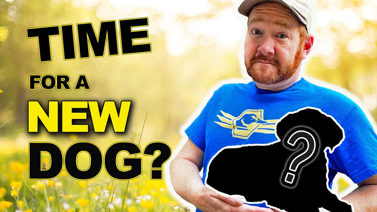 Finding a New DUCK DOG | Where to start