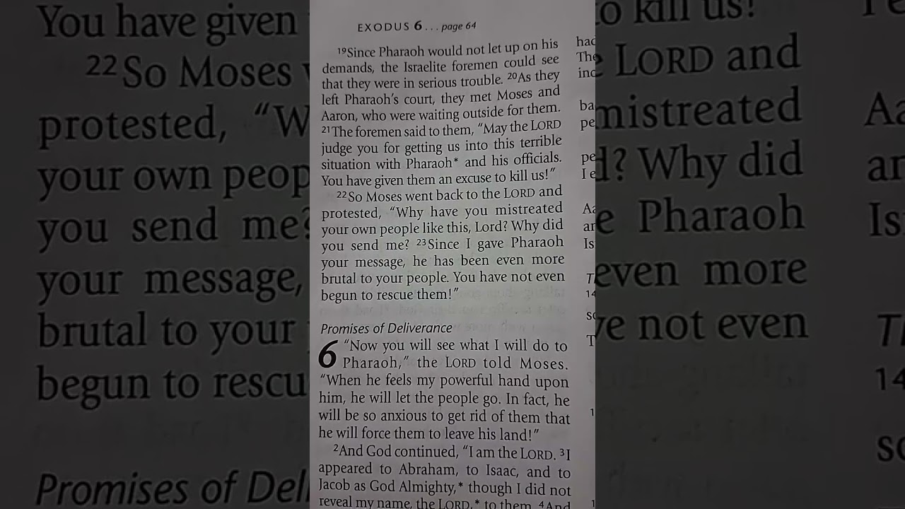 Exodus 4 Part 2, 5, & 6 