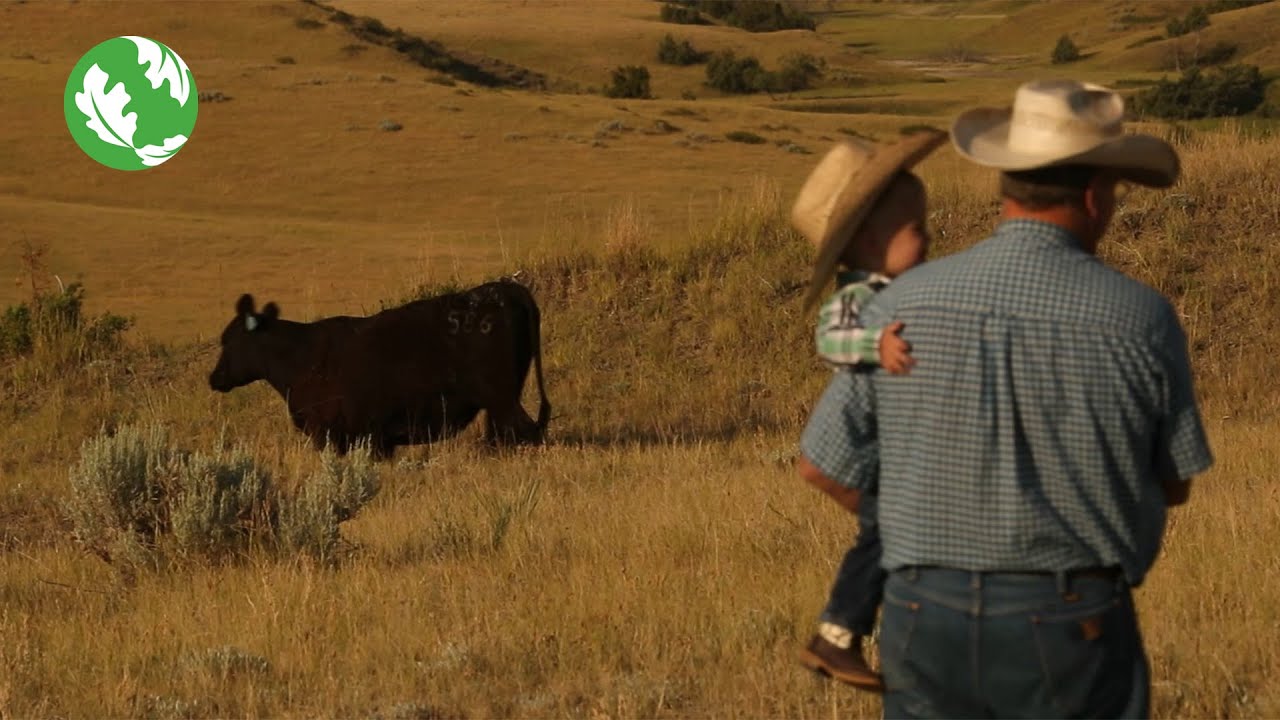 A Legacy of Conservation in North Dakota