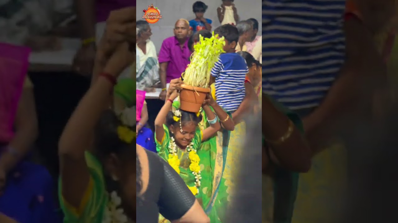 திரவிய நகர் வடக்குத்தி அம்மன் கோவில் திருவிழா 🔥
